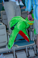 CAB_8704