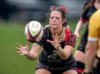 Tampa Bay v Knoxville - WD2 Final
