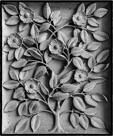 DSCF3174-Edit