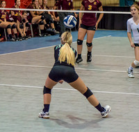 Newman v Iota  08Nov2012