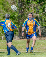 _CAB2397