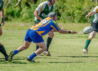 _CAB2379