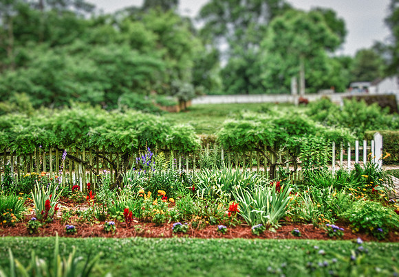 CAB_4116_HDR-Edit