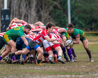 NORFC Purple v ULL  - 02Feb2019