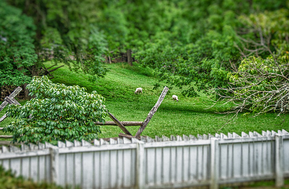 CAB_4134_HDR-Edit